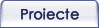 Proiecte